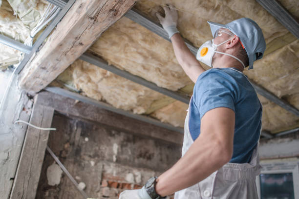 Best Commercial Insulation in North River Shores, FL