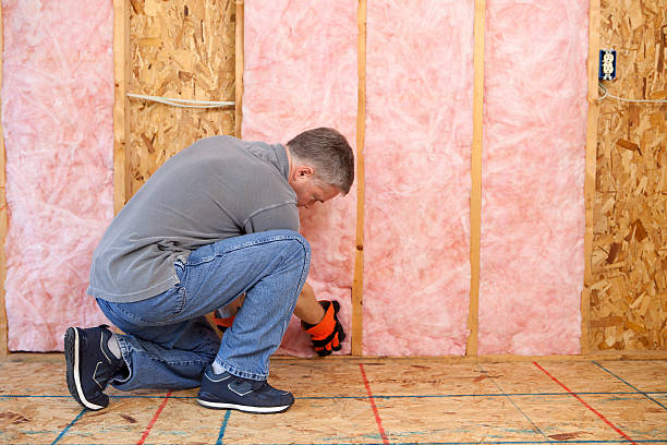 Best Specialized Insulation Services in North River Shores, FL