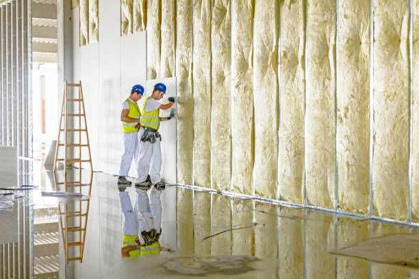 Best Residential Insulation in North River Shores, FL